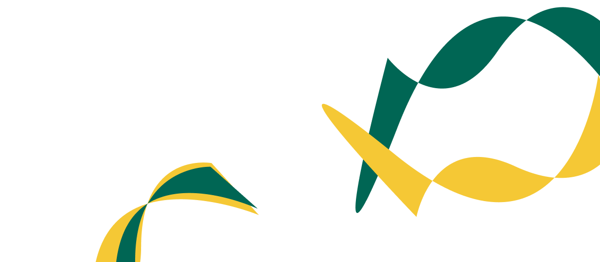 Expert Solutions for Corporate  Financial Success. - pg模拟器